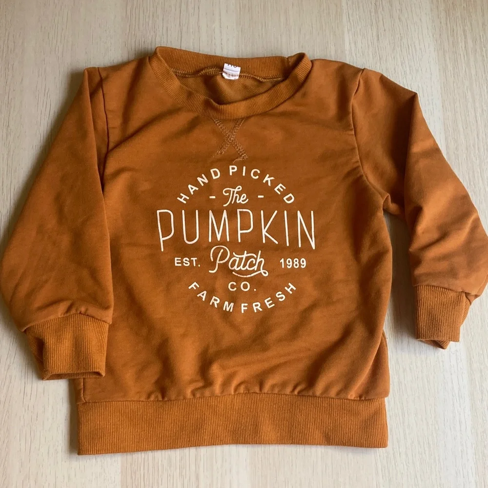Size 24 month Pumpkin Patch Kids Rust Orange Crewneck Sweatshirt, Cotton Fall